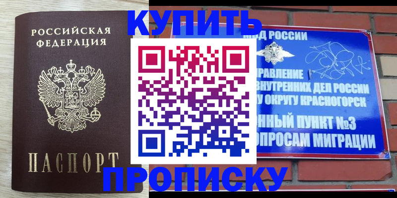 прописка гарантия в Краснодаре